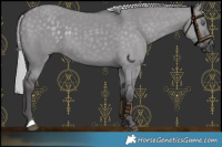 Horse Color:Silver Smoky Grullo Chinchilla