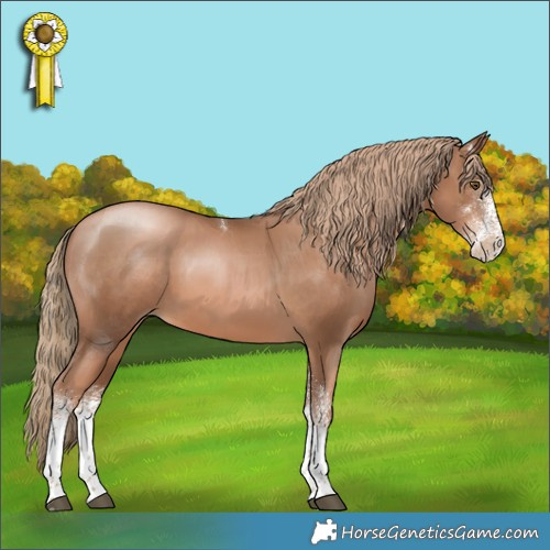 Horse Color:White Spotted Liver Chestnut Pearl Tobiano Rabicano 