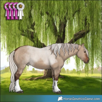 Horse Color:White Spotted Silver Brown Dun Tobiano