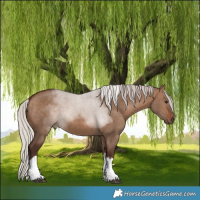 Horse Color:White Spotted Silver Brown Dun Tobiano 