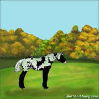 Horse Color:Watercolor White Spotted Silver Black Ice Sabino Splash Rabicano 