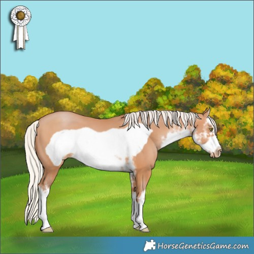 Horse Color:White Spotted Silver Brown Pearl Frame 