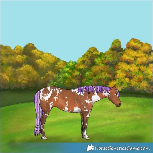 Horse Color:Painted White Spotted Silver Brown 