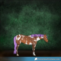 Horse Color:Painted White Spotted Silver Brown 