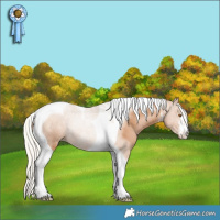 Horse Color:White Spotted Silver Black Pearl Tobiano Rabicano 