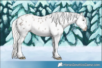 Horse Color:White Spotted Silver Brown Ice Sabino Splash