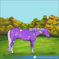 Horse Color:Watercolor White Spotted Silver Bay