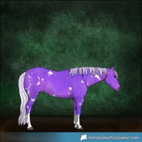Horse Color:Watercolor White Spotted Silver Bay