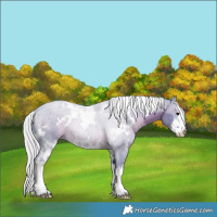 Horse Color:Watercolor White Spotted Silver Black 