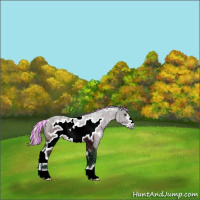 Horse Color:Painted Watercolor White Spotted Silver Brown Ice Frame 