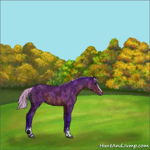 Horse Color:Watercolor White Spotted Silver Brown Ice 