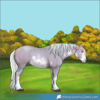 Horse Color:Watercolor White Spotted Silver Bay Pearl 