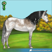 Horse Color:Gray Brown Dun Mushroom Splash Tobiano 