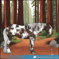 Horse Color:White Spotted Silver Brown Mushroom 