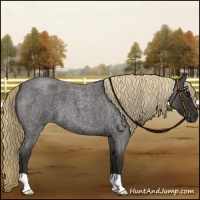 Horse Color:Liver Red Roan 