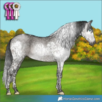 Horse Color:Gray Grullo Mushroom Splash Tobiano 