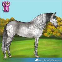 Horse Color:Gray Grullo Mushroom Splash Tobiano 