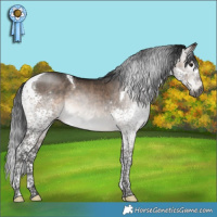 Horse Color:Gray Brown Dun Mushroom Splash Tobiano 