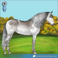 Horse Color:Gray Brown Dun Mushroom Splash Tobiano 