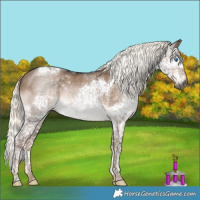 Horse Color:Gray Liver Red Dun Mushroom Splash Tobiano 