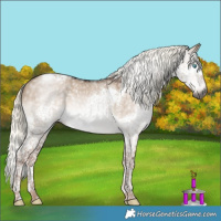 Horse Color:Gray Liver Red Dun Mushroom Splash Tobiano 