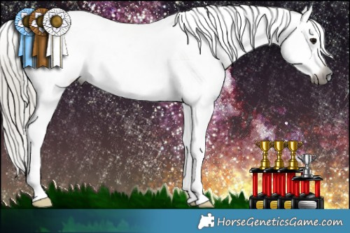 Horse Color:Gray Silver Smoky Black Splash Tobiano Appaloosa 