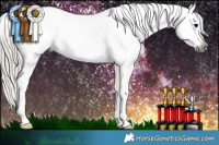 Horse Color:Gray Silver Smoky Black Splash Tobiano Snowflake Varnish