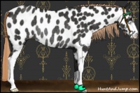 Horse Color:Liver Chestnut Sabino Near Leopard Rabicano 