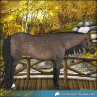 Horse Color:Brown Dun Mushroom