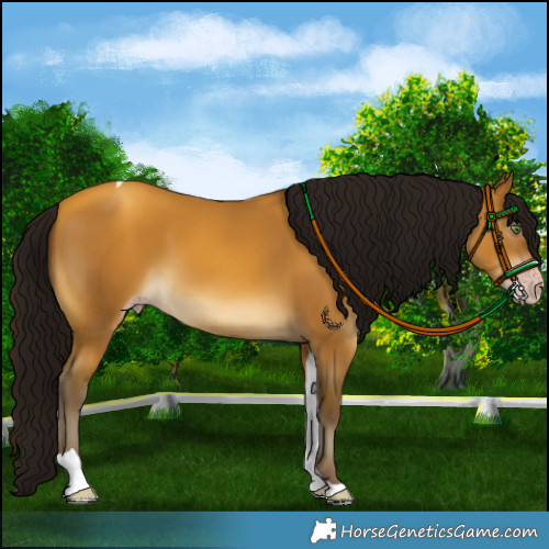 Horse Color:Gray Amber Cream Champagne Tobiano 