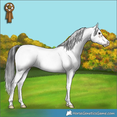 Horse Color:Brown Dun Mushroom Sabino Frame 