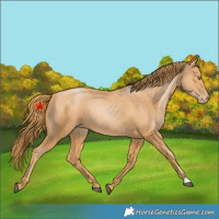Horse Color:Chestnut Pearl 