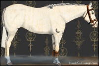 Horse Color:Palomino Dun Varnish  and Gold Cream Champagne Dun Varnish 
