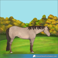 Horse Color:Sable Champagne Dun 