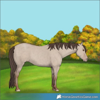 Horse Color:Classic Champagne Dun 