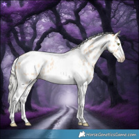 Horse Color:Silver Amber Champagne Roan Dun Splash Tobiano Frame Appaloosa Rabicano