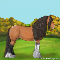 Horse Color:Bay Tobiano Appaloosa 