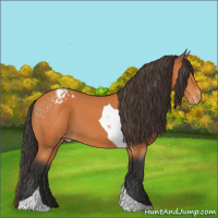 Horse Color:Bay Tobiano Appaloosa