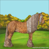 Horse Color:Chestnut  and Palomino 