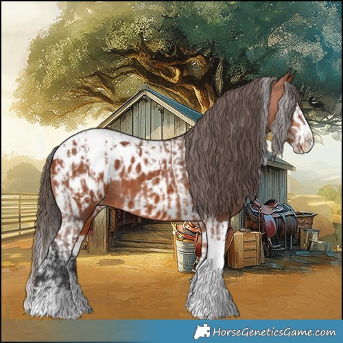 Horse Color:Bay Splash Tobiano Appaloosa  and Bay Splash Tobiano Appaloosa 