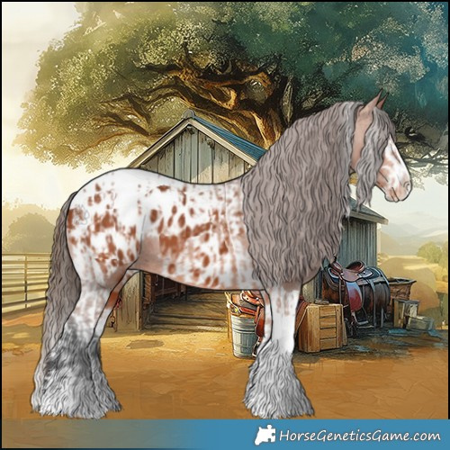 Horse Color:Bay Splash Tobiano Appaloosa  and Bay Splash Tobiano Appaloosa 