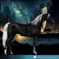 Horse Color:Midnight Liver Chestnut Ice Mushroom Sabino Tobiano Rabicano 