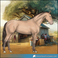 Horse Color:Amber Champagne 