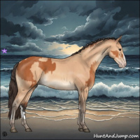 Horse Color:Bay  and Amber Champagne 