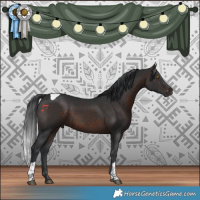 Horse Color:Brown Tobiano Rabicano