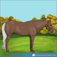 Horse Color:Silver Black 