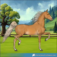 Horse Color:Palomino