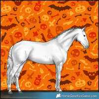 Horse Color:Gray Brown 