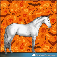 Horse Color:Gray Brown