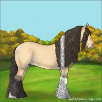 Horse Color:Buckskin Roan Dun Tobiano 